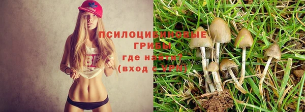 spice Осташков