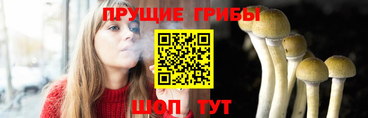 закладка  Галлюциногенные грибы мухоморы  Вход с VPN  Алексеевка 
